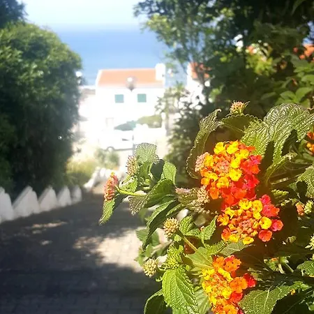 Villa Ocean With Private Pool Ericeira