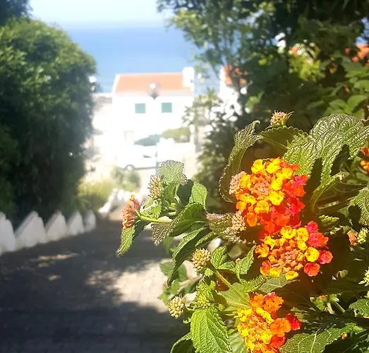 别墅 Ocean With Private Pool 埃里塞拉